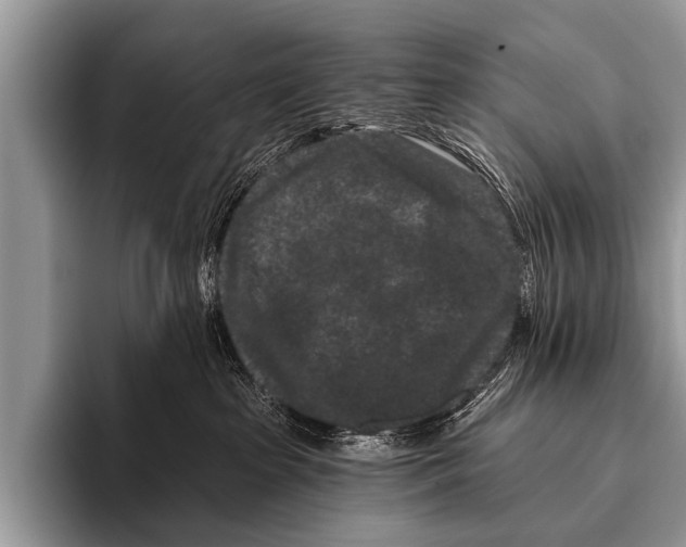 X0000095930285200802081223