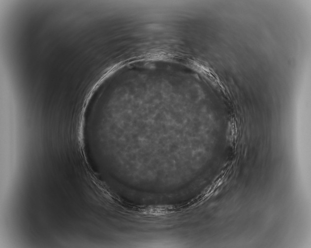 X0000095930292200802081222