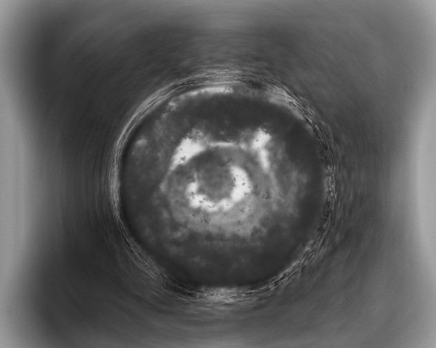 X0000095930293200802081222