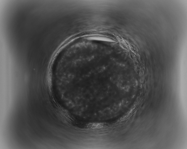 X0000095930295200802081222