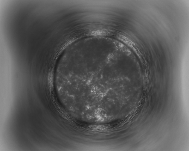 X0000095930297200802081222