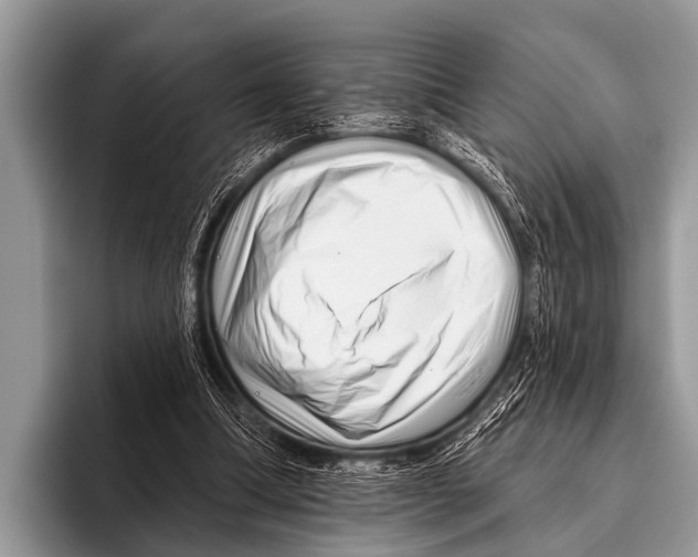 X0000095930298200802081222