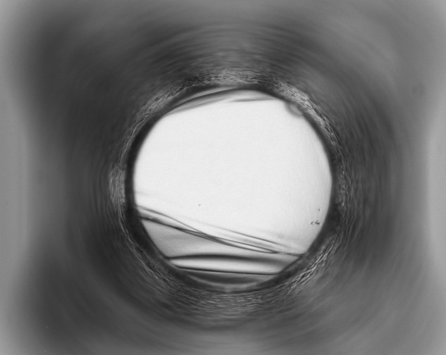 X0000095930299200802081222
