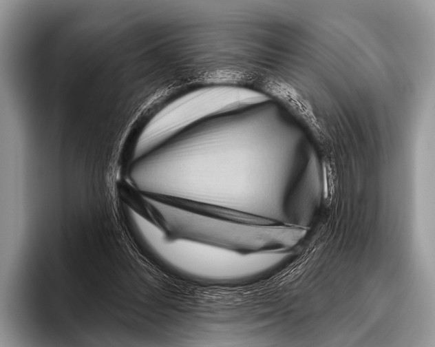 X0000095930300200802081222