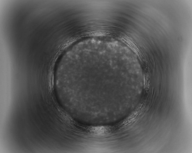X0000095930301200802081222