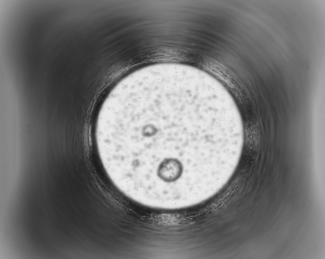 X0000095930302200802081222