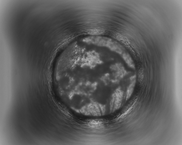 X0000095930303200802081222
