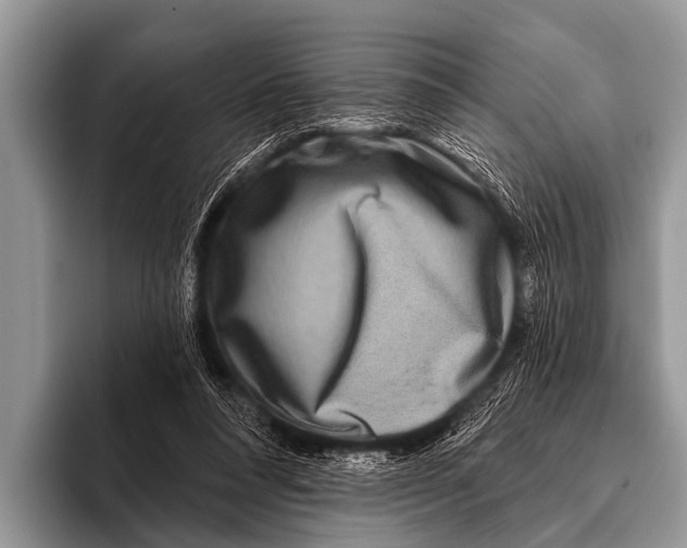 X0000095930304200802081222