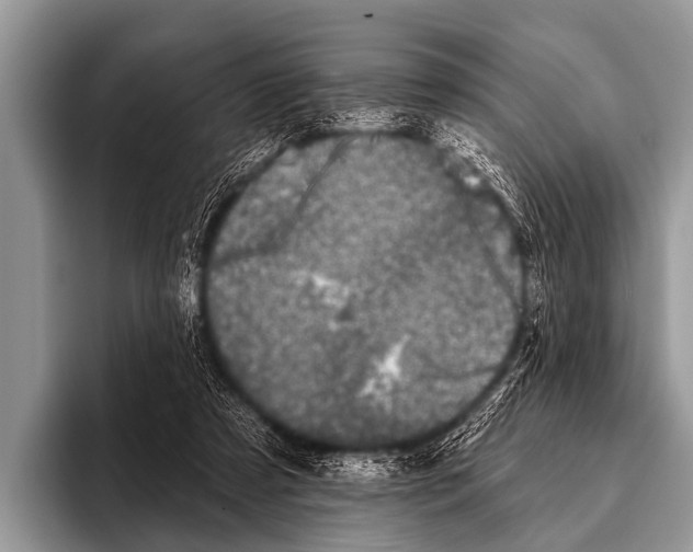 X0000095930305200802081222