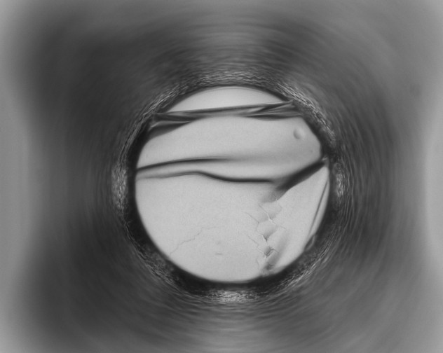 X0000095930308200802081222