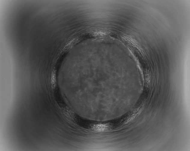 X0000095930312200802081222