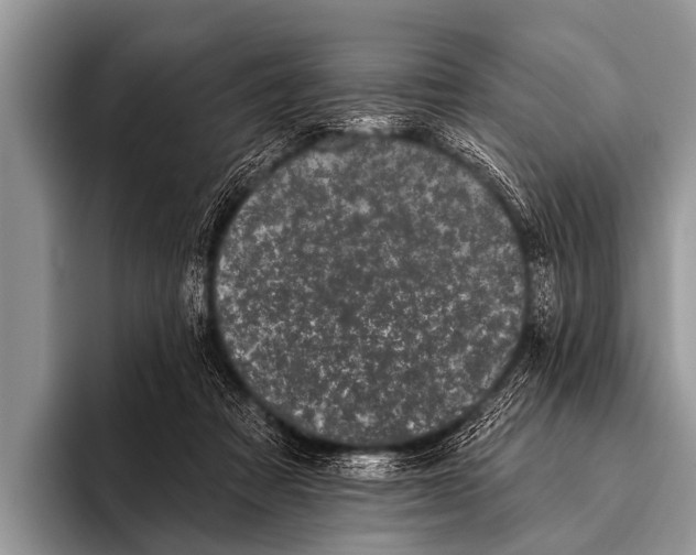 X0000095930313200802081222