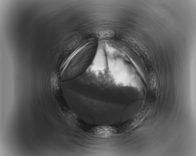 X0000095930316200802081222