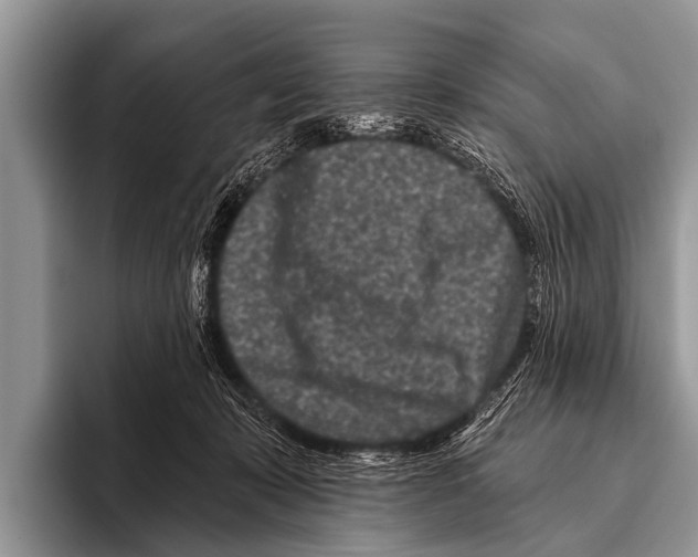 X0000095930319200802081222