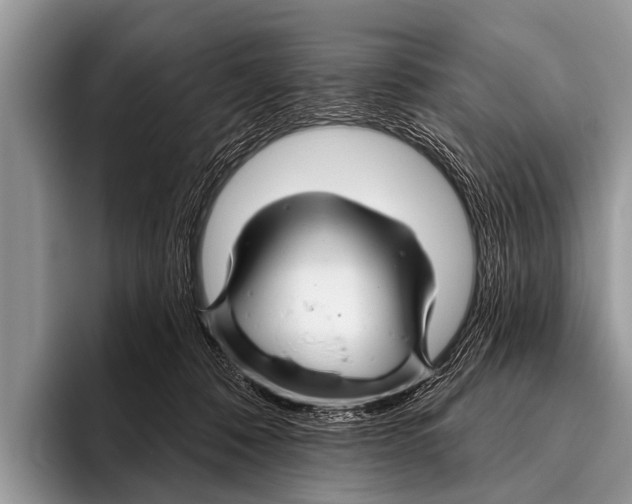 X0000095930320200802081222