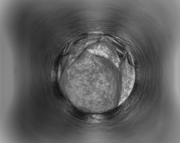 X0000095930324200802081222