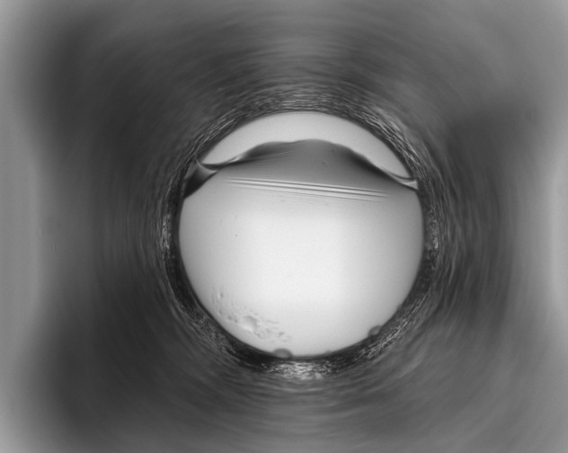 X0000095930326200802081222