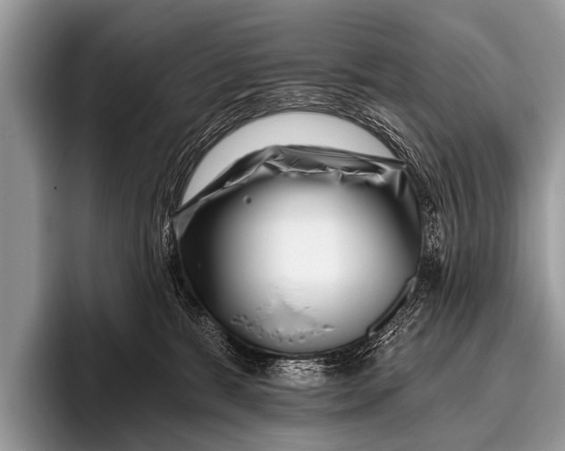 X0000095930327200802081222