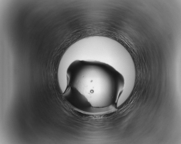 X0000095930328200802081222