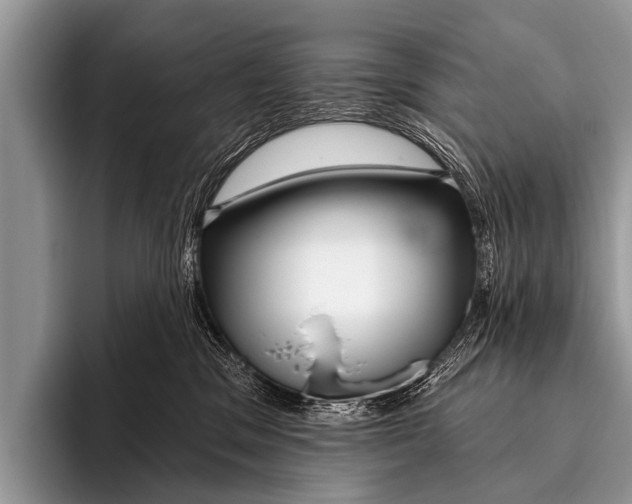 X0000095930329200802081222