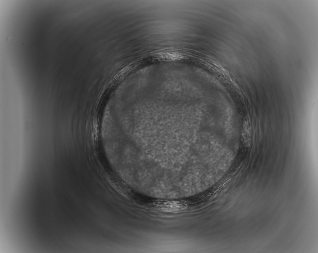 X0000095930330200802081222