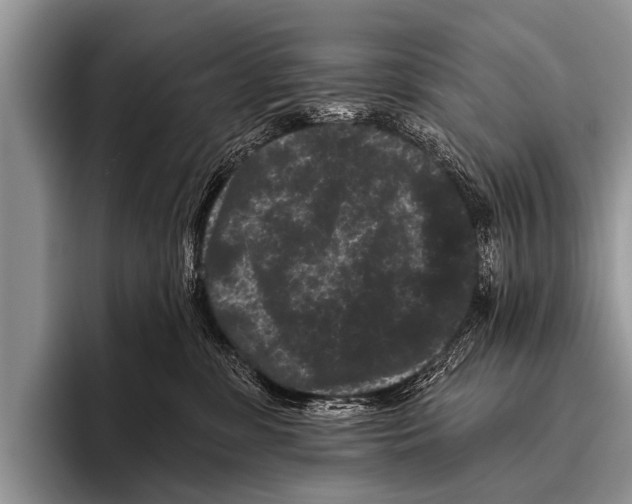 X0000095930331200802081222