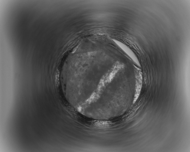 X0000095930332200802081222