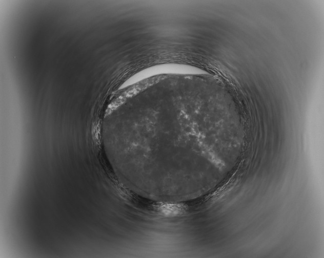 X0000095930336200802081222