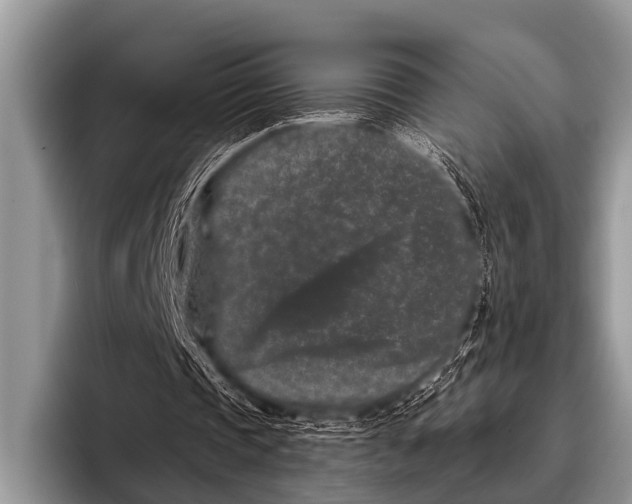 X0000095930337200802081221