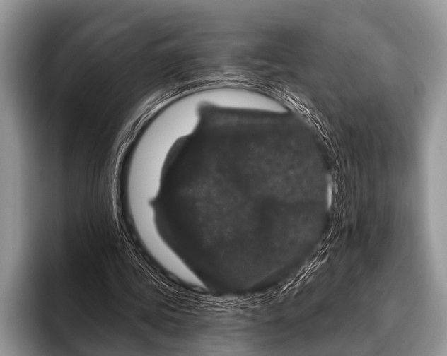 X0000095930339200802081221