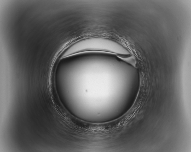 X0000095930340200802081221