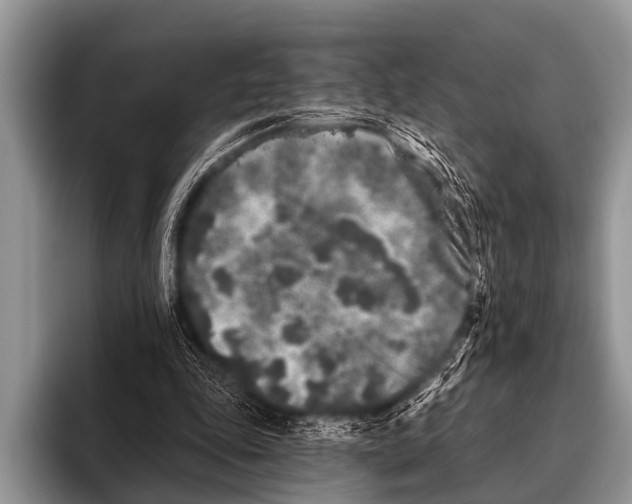 X0000095930343200802081221
