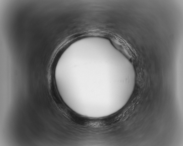 X0000095930344200802081221