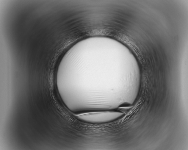 X0000095930345200802081221