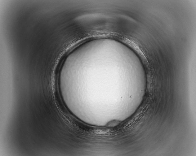 X0000095930346200802081221