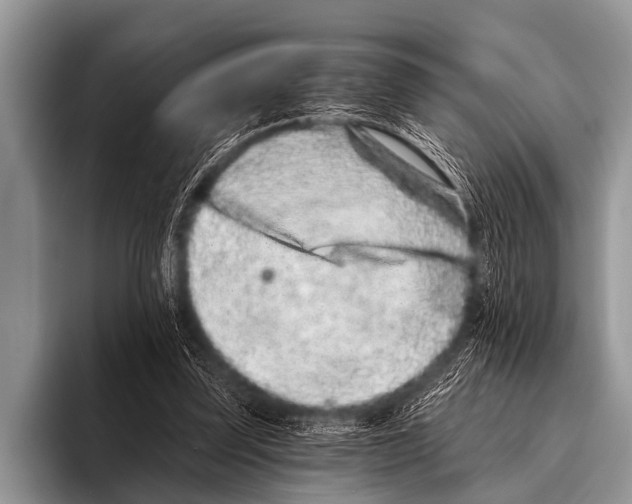 X0000095930347200802081221