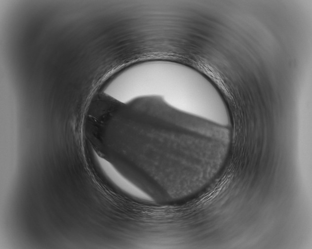 X0000095930348200802081221