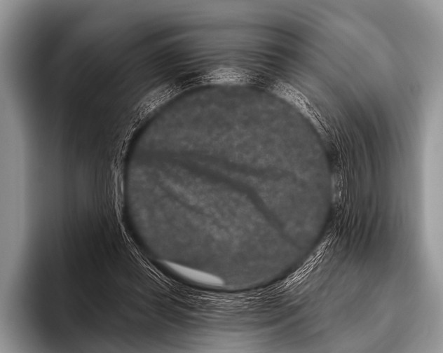 X0000095930349200802081221