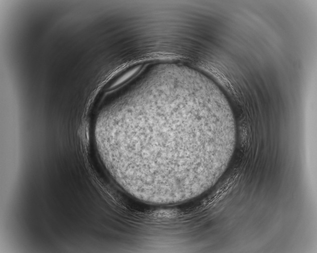 X0000095930350200802081221