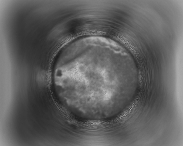 X0000095930351200802081221