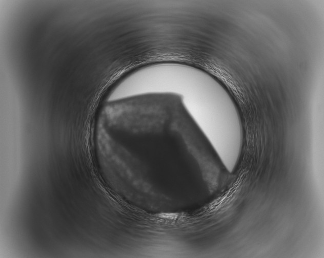 X0000095930352200802081221