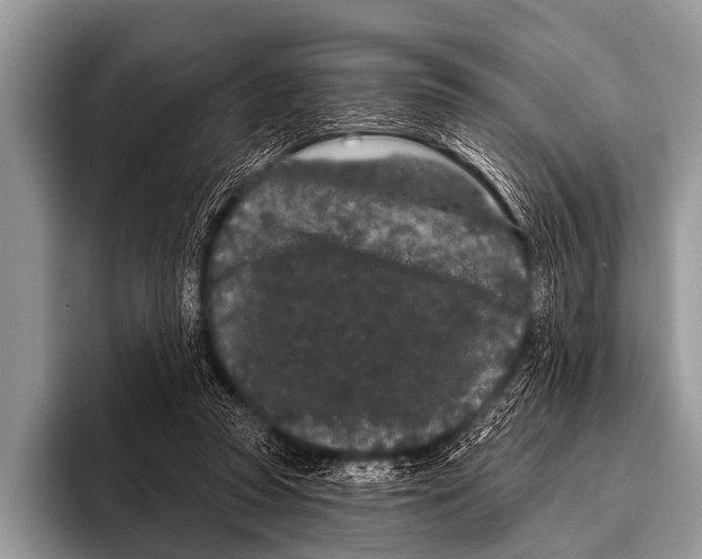 X0000095930353200802081221