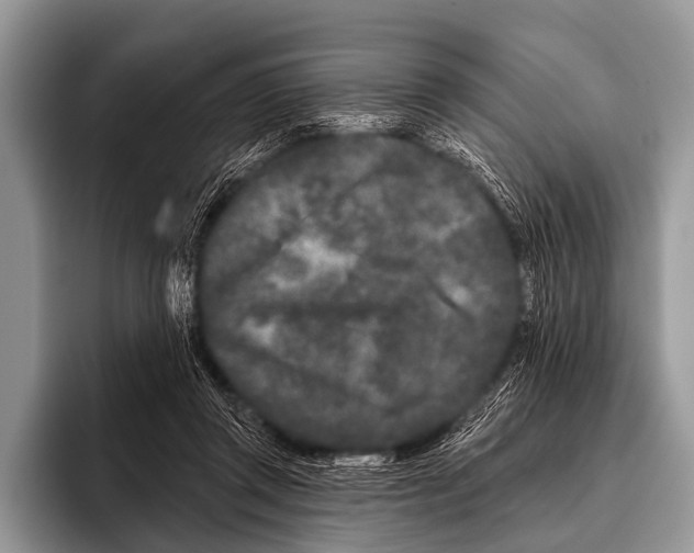 X0000095930357200802081221