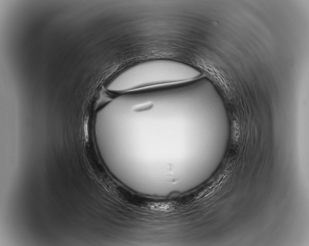 X0000095930358200802081221