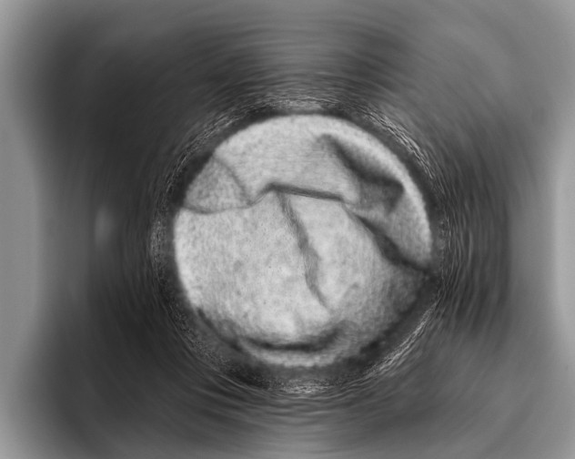 X0000095930359200802081221