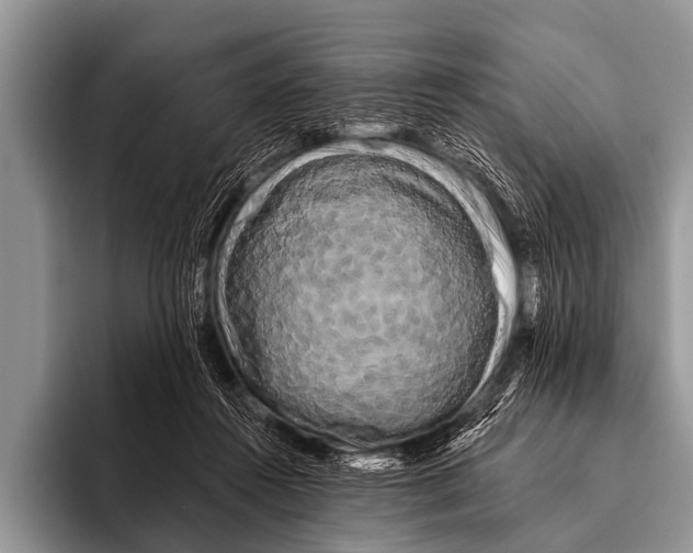 X0000095930360200802081221