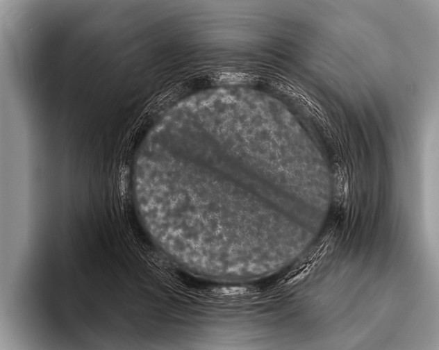 X0000095930361200802081221