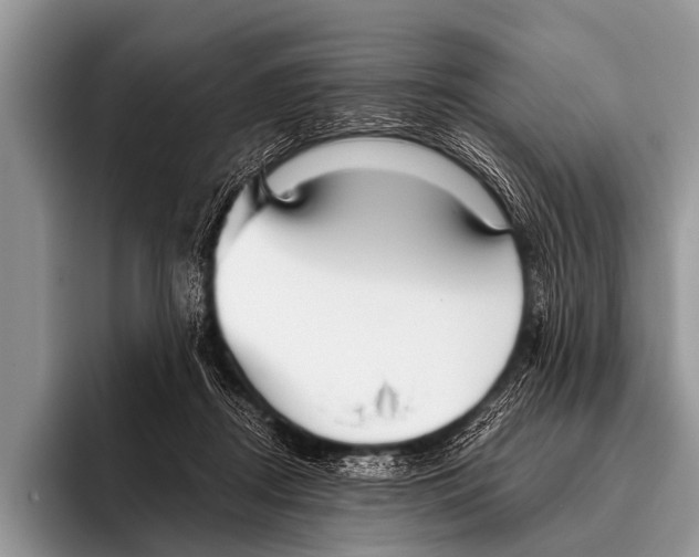 X0000095930362200802081221