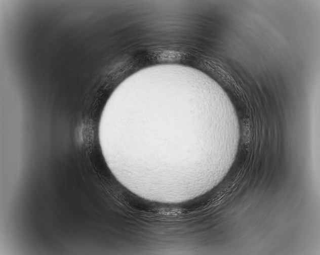 X0000095930363200802081221
