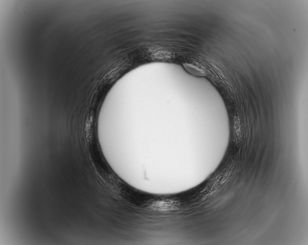 X0000095930364200802081221